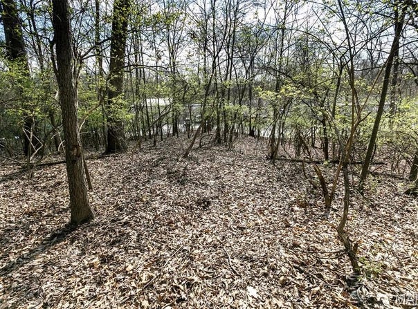 740 Forest Avenue, Valley Park, MO 63088