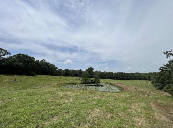 Polk Road 62, Mena, AR 71953