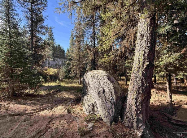 20 Laurins Lane, Cascade, ID 83611