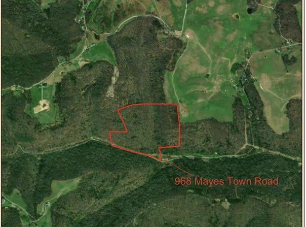 Mayes Town Rd, Speedwell, TN 37870