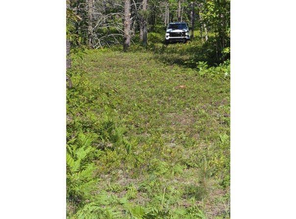 Andrus N Whitefish Point Rd, Paradise, MI 49768