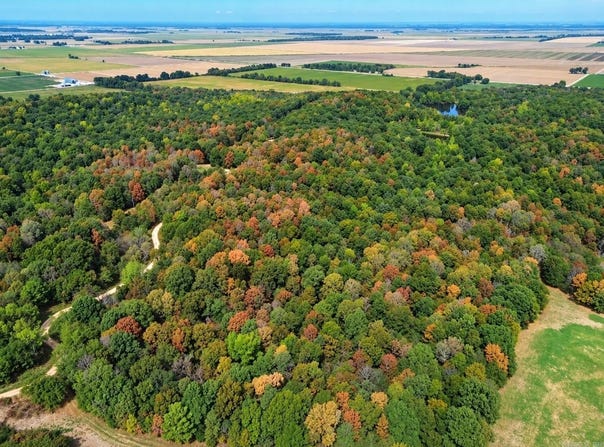 2 CR 449, Pollard, AR 72456