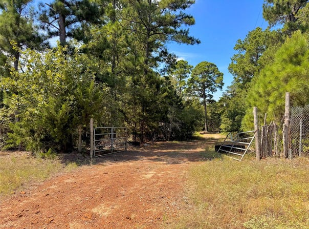 445 Pine Valley Loop, Smithville, TX 78957