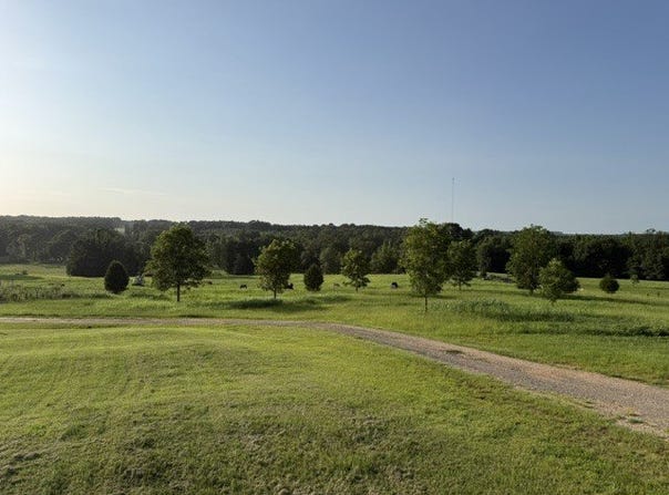 Highway 540, Homer, LA 71040