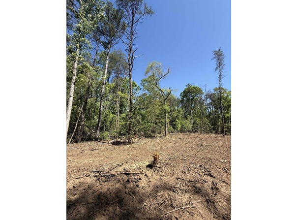 Thompson Road, Greer, SC 29651
