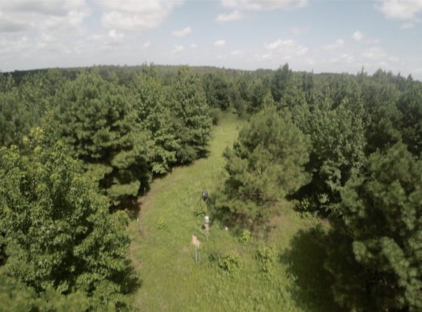 CR 1640, Jefferson, TX 75657