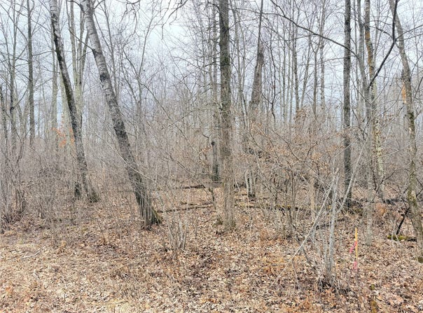 28 7/8 Avenue lot: 20, Birchwood, WI 54817