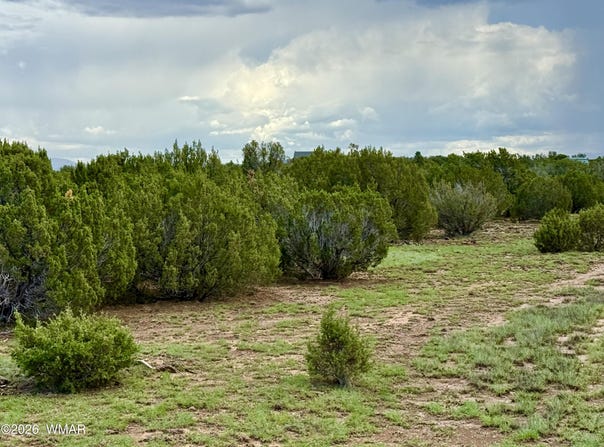 85 Co Rd 8128, Concho, AZ 85924