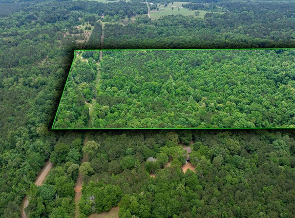 CARROLL BRASHIER ROAD, Downsville, LA 71234