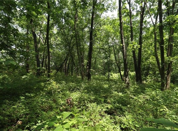 36 E 1200th Road, Baldwin City, KS 66006