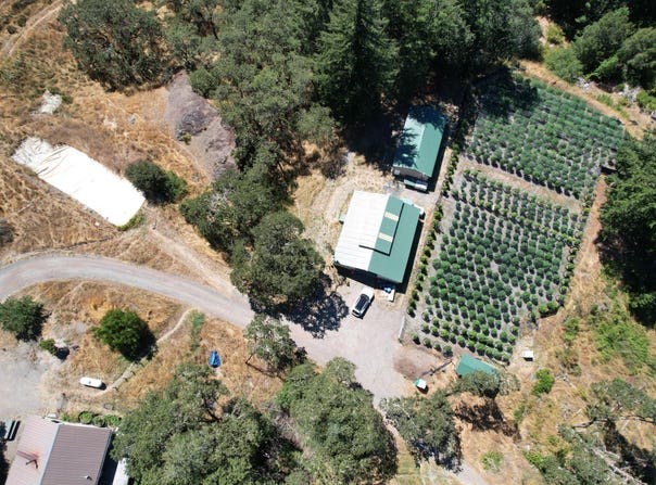 41555 Ca-36 36, Bridgeville, CA 95526