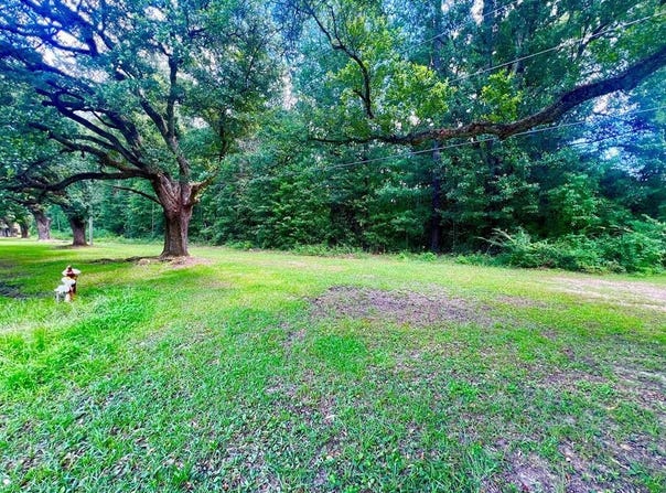 Ellisville Blvd, Laurel, MS 39440