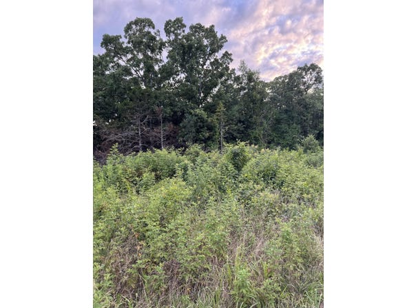 Ballard Road, Vilonia, AR 72173