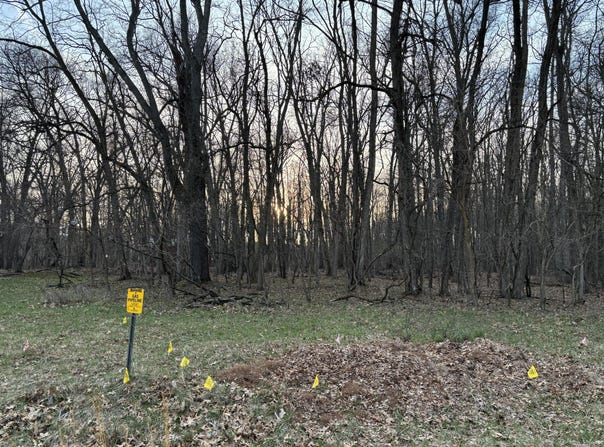 11560 Rutan Circle, Jerome, MI 49249
