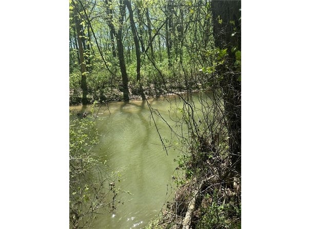 N 411 Highway, Eton, GA 30705