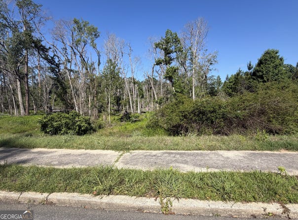Third N Street, Soperton, GA 30457