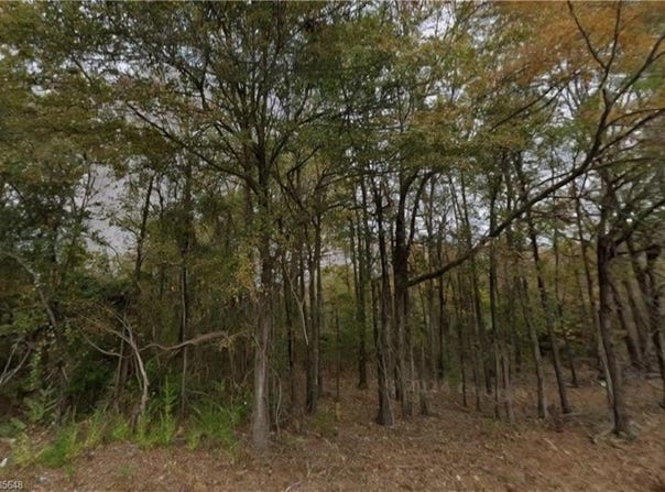 Lot 1-2 Southfield RD, Other Ar, AR 71730