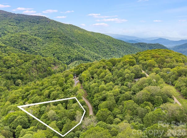 65 Bee Tree Lane, Mars Hill, NC 28754
