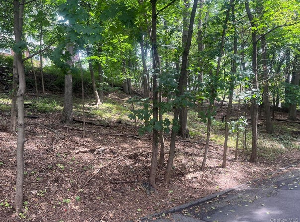 Springwood Avenue, Ardsley, NY 10502