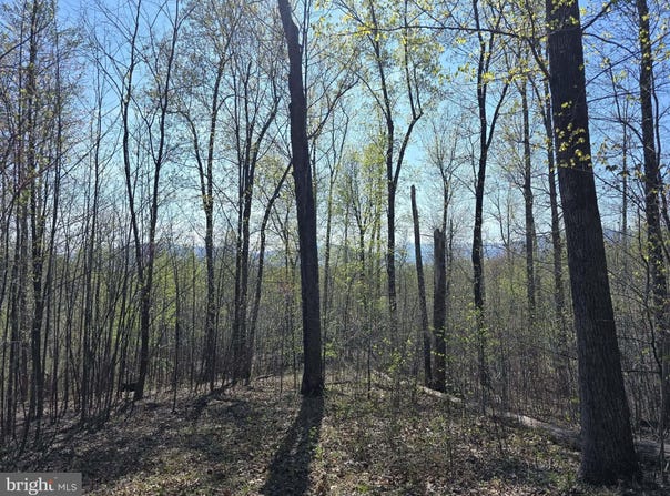 S FT VALLEY RD lot: 2, MADISON, VA 22727