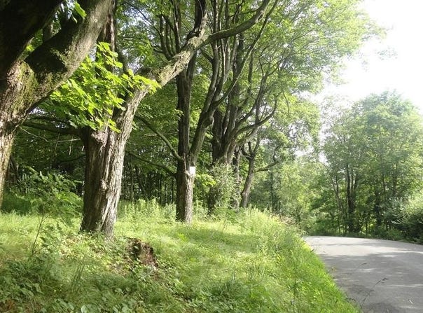 Henry Road, Cragsmoor, NY 12420