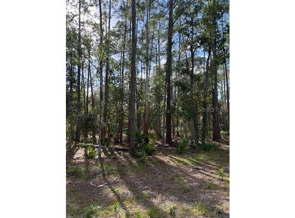 207 OCALA Court, GEORGETOWN, FL 32139