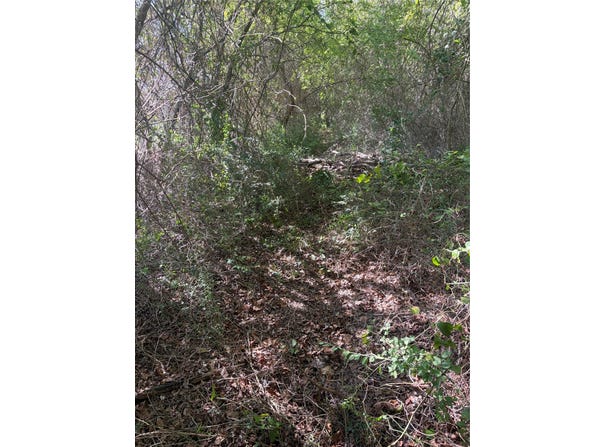 994 Brazos, Bullard, TX 75757