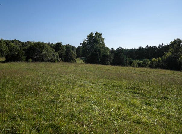 630 Schultz Mt. Road, Meherrin, VA 23954