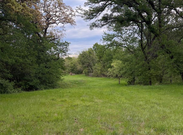 1576 Adell Circle, Peaster, TX 76088