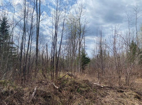 NEAR WILSON LAKE RD, Phillips, WI 54555