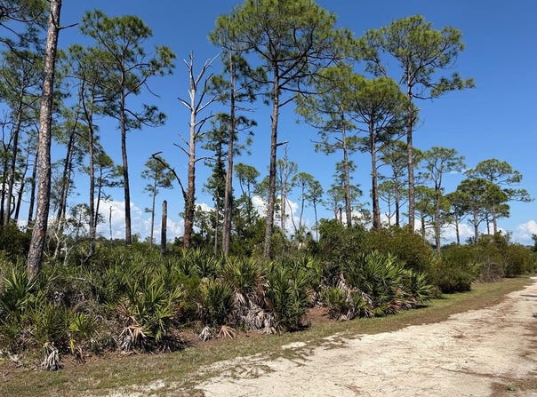 Museum Dr, Cedar Key, FL 32625