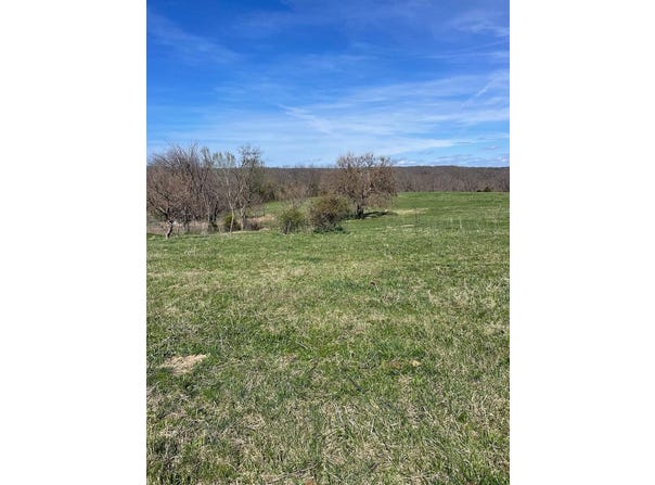 5620 Silver Lake Road, Clever, MO 65631