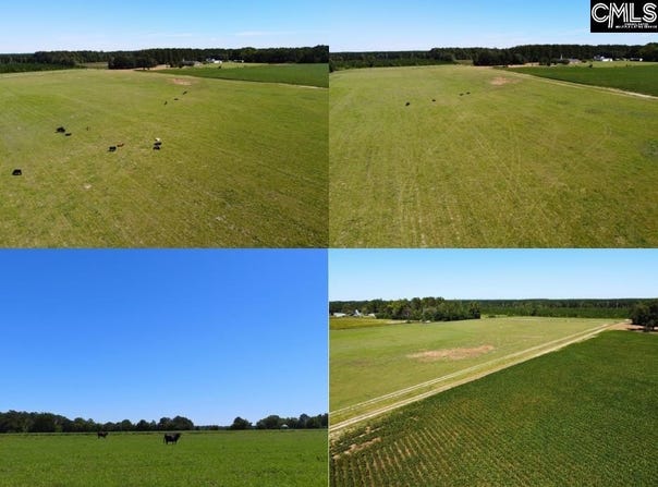 Tema Road, Hartsville, SC 29550