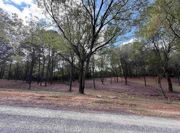 258 Co Rd 1123, Vinemont, AL 35179