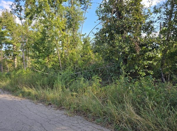 150 County Road 358, Jasper, TX 75951