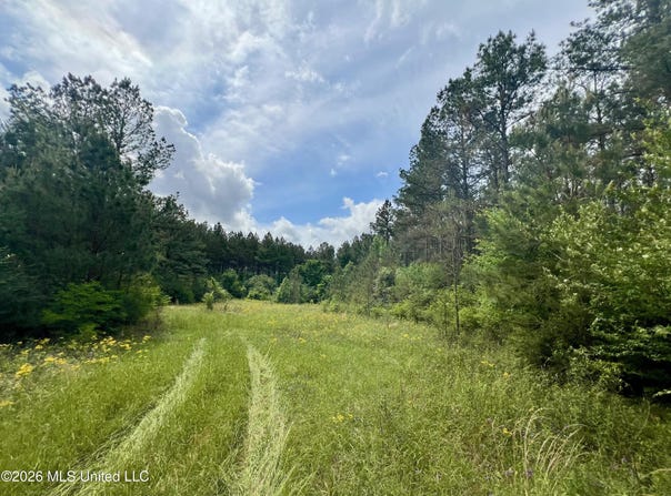 NE Highway 44, Summit, MS 39666
