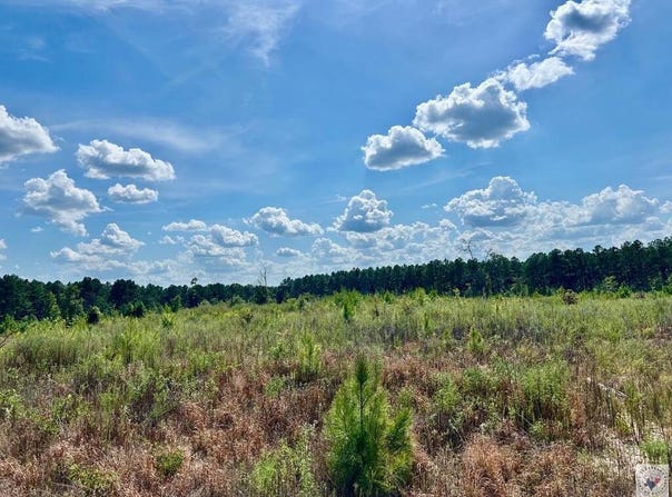 FM 251 N, Bloomburg, TX 75556