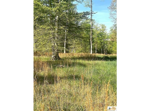 Nixon Road, Columbia, KY 42728