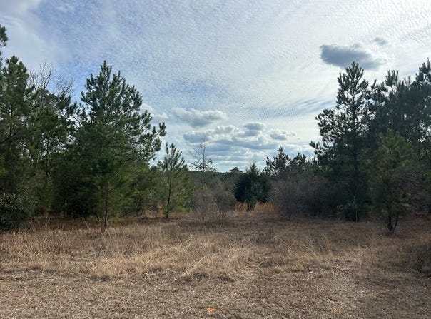 9+-ac Whittle Hudson Rd, Ozark, AL 36360