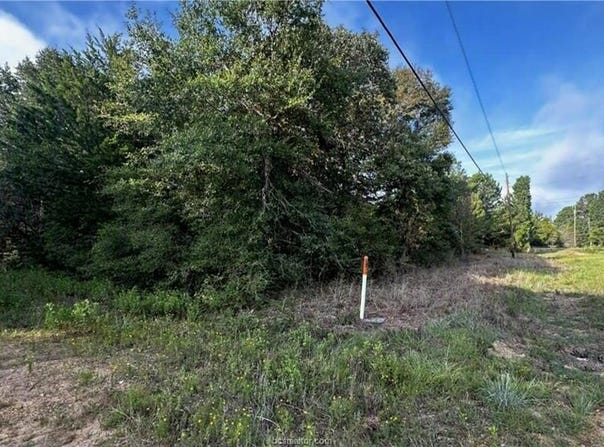 Overhill Circle, Hilltop Lakes, TX 77871