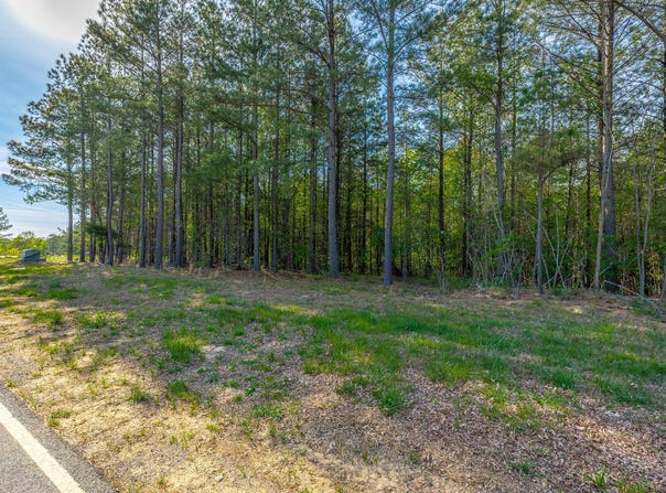 Crockett Point lot: Jf179, Jasper, TN 37347