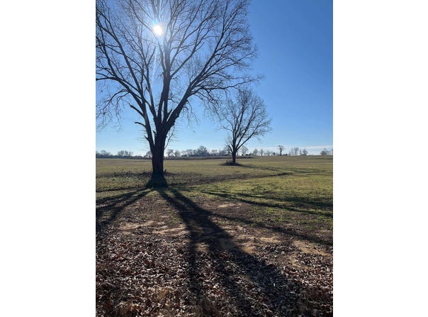 OIL MILL RD, Covington, TN 38019