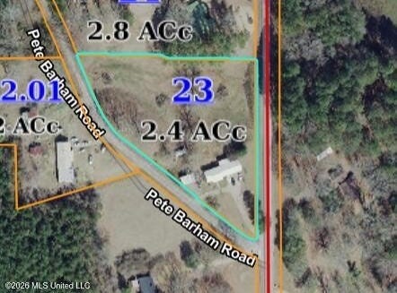 94 Pete Barham Road, Walnut Grove, MS 39189