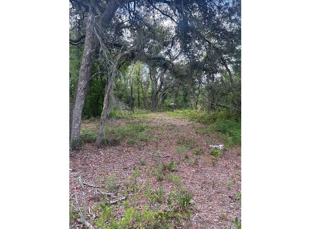 Jody Morgan Rd, Perry, FL 32348