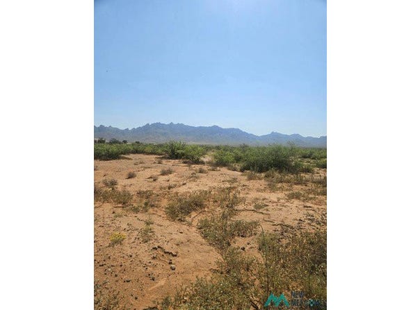 Briar Rd SE, Deming, NM 88030