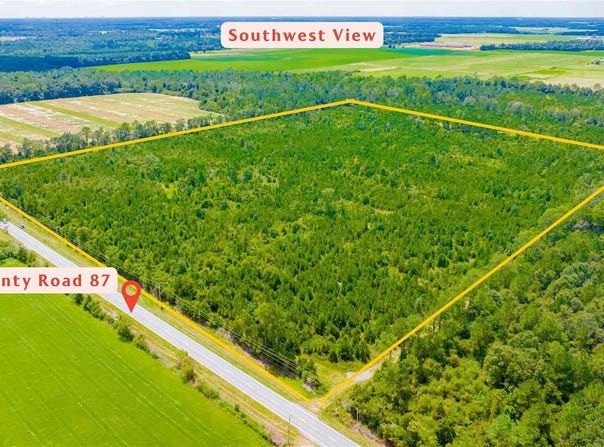 County Road 87, Elberta, AL 36530