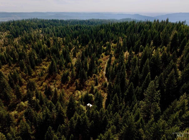 Timber Ridge Drive, Orofino, ID 83544