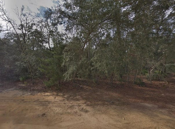 917 DAVID Avenue, INTERLACHEN, FL 32148