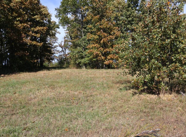 Wild Turkey Road, West Plains, MO 65775