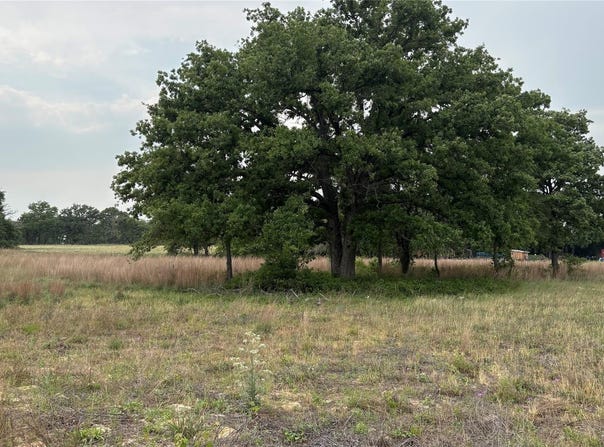 Old Sayers Rd, Bastrop, TX 78602